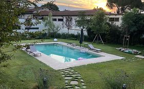 Villa Taccetti - Appartamento 